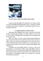 Referāts 'Hokejs un tā fenomens - līdzjutēji', 8.