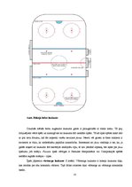 Referāts 'Hokejs un tā fenomens - līdzjutēji', 10.