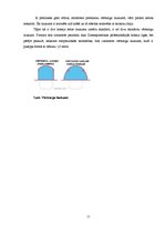 Referāts 'Hokejs un tā fenomens - līdzjutēji', 11.