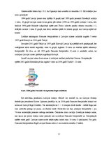 Referāts 'Hokejs un tā fenomens - līdzjutēji', 15.