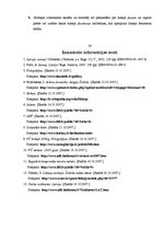 Referāts 'Hokejs un tā fenomens - līdzjutēji', 30.