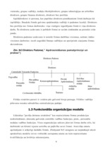 Referāts 'Apdrošināšanas sabiedrību struktūra un darbība', 6.