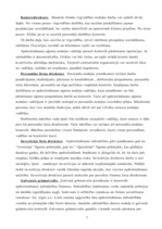 Referāts 'Apdrošināšanas sabiedrību struktūra un darbība', 7.