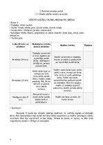 Prakses atskaite 'Prakse - Sākumizglītības skolotājs 4 - 6. klase', 4.