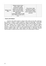 Prakses atskaite 'Prakse - Sākumizglītības skolotājs 4 - 6. klase', 21.