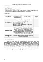 Prakses atskaite 'Prakse - Sākumizglītības skolotājs 4 - 6. klase', 22.