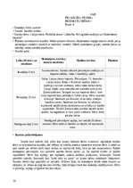 Prakses atskaite 'Prakse - Sākumizglītības skolotājs 4 - 6. klase', 26.