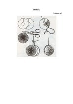 Paraugs 'Audzinātājstundas plāns "Advente"', 4.