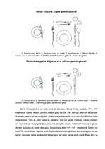 Referāts 'Ēdināšanas serviss', 4.