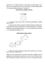 Referāts 'Ēdināšanas serviss', 5.