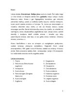 Referāts 'Ainavu rajonēšana', 2.