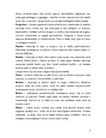 Referāts 'Ainavu rajonēšana', 3.