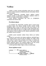 Konspekts 'Vedības - latviešu tradīcija', 1.