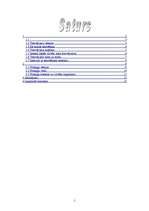 Referāts 'Tetovējumi un pīrsingi', 1.