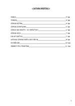 Referāts 'Līzings', 2.