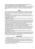 Referāts 'Līzings', 4.