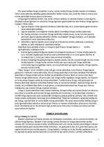 Referāts 'Līzings', 5.