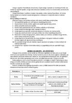 Referāts 'Līzings', 6.