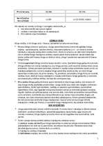 Referāts 'Līzings', 7.