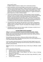 Referāts 'Līzings', 8.