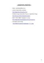 Referāts 'Līzings', 11.