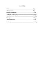 Referāts 'E.Radzinskis "Napoleons". Grāmatas analīze', 3.