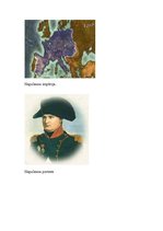 Referāts 'E.Radzinskis "Napoleons". Grāmatas analīze', 17.