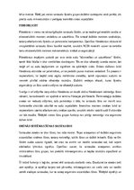 Konspekts 'Dzīvnieku audu veidi un funkcijas', 16.