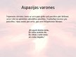 Prezentācija 'Aspazijas daiļrade', 6.
