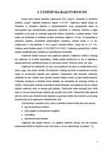 Biznesa plāns 'Biznesa plāns SIA "Ligvo"', 3.