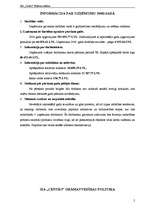 Paraugs 'SIA "Centrs" bilances analīze', 2.