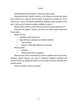 Referāts 'Zvārtavas pils interjera izpēte', 4.