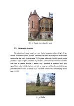 Referāts 'Zvārtavas pils interjera izpēte', 8.