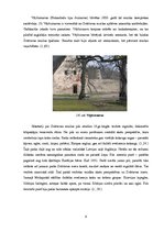 Referāts 'Zvārtavas pils interjera izpēte', 9.