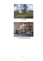 Referāts 'Zvārtavas pils interjera izpēte', 19.