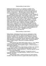 Referāts 'Radio', 3.