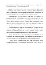 Eseja 'Trīs paradoksi', 4.