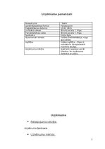 Biznesa plāns 'Nagu kopšanas speciālists SIA ‘’Nails’’', 2.