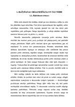 Referāts 'Pakalpojumu organizēšana', 4.