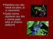 Prezentācija 'Dzīvnieku elpošana', 15.