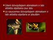 Prezentācija 'Dzīvnieku elpošana', 16.