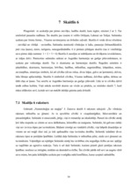 Referāts 'Numeroloģija', 16.