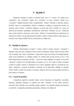 Referāts 'Numeroloģija', 20.