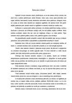 Eseja 'Interneta veikali', 1.