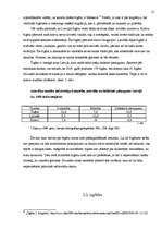 Referāts 'Čigāni Latvijā', 12.