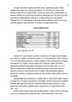 Referāts 'Čigāni Latvijā', 13.