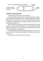 Prakses atskaite 'Ogres rajona slimnīcas ēdināšanas bloka darbība', 14.