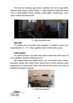 Prakses atskaite 'Ogres rajona slimnīcas ēdināšanas bloka darbība', 29.