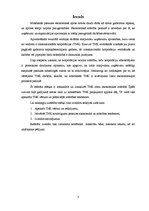 Referāts 'TNK būtība un loma ekonomikas attīstībā', 3.