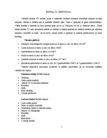 Prakses atskaite 'Mācību prakse viesnīcā "Aldemar Paradise Royal Mare"', 7.